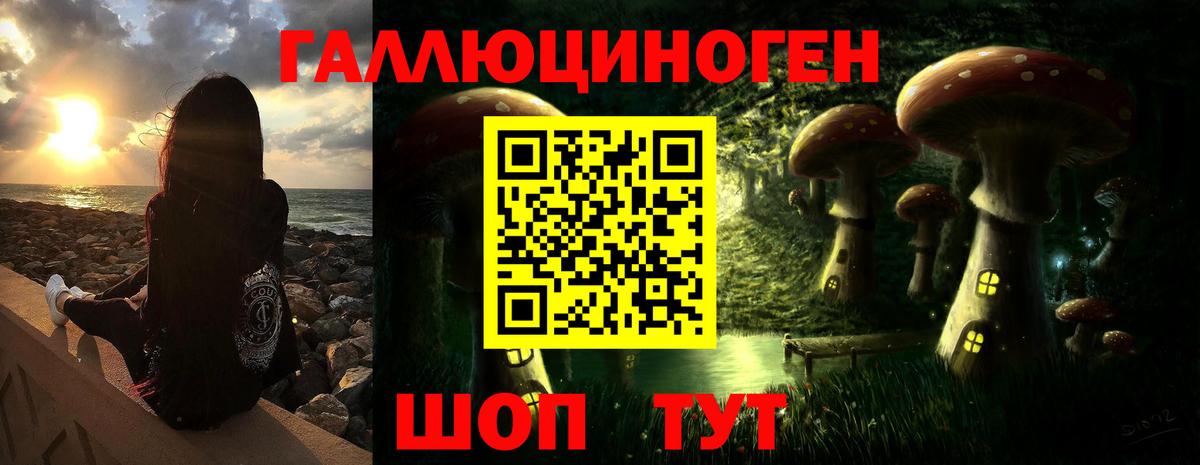 Алейск  Галлюциногенные грибы прущие грибы  Вход с VPN  Галлюциногенные грибы мухоморы 