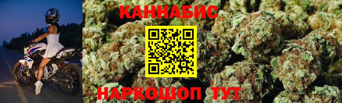 Каннабис OG Kush Алейск